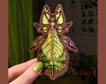 Leaf Bug Phylliidae Glossy Die Cut Vinyl Handmade Green Insect Sticker