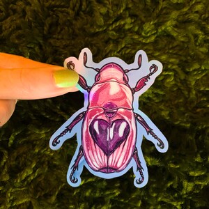 May include: A pink and purple iridescent beetle sticker with a heart-shaped design on its back.