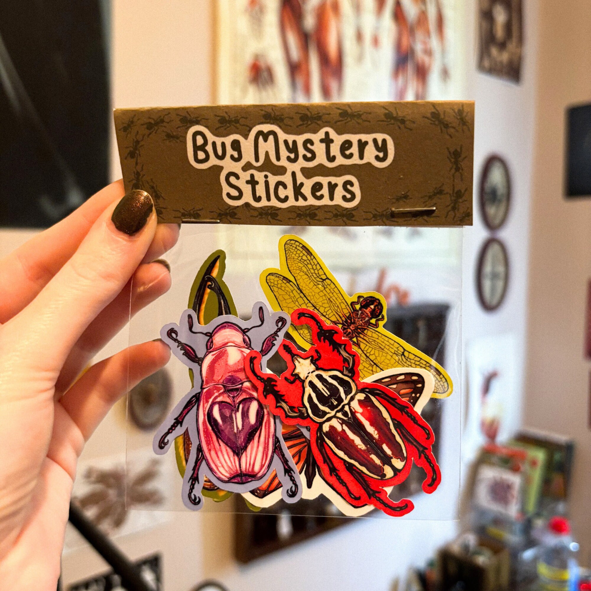 Bug Mystery Stickers Random Handmade Insect Glossy Vinyl Entomology ...