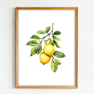 Lemon, Watercolor Painting,  Art Print, Lemon Branch