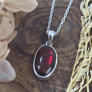 Colgante de ammolita / Ammolita / Joyería de ammolita / Ammolita canadiense /