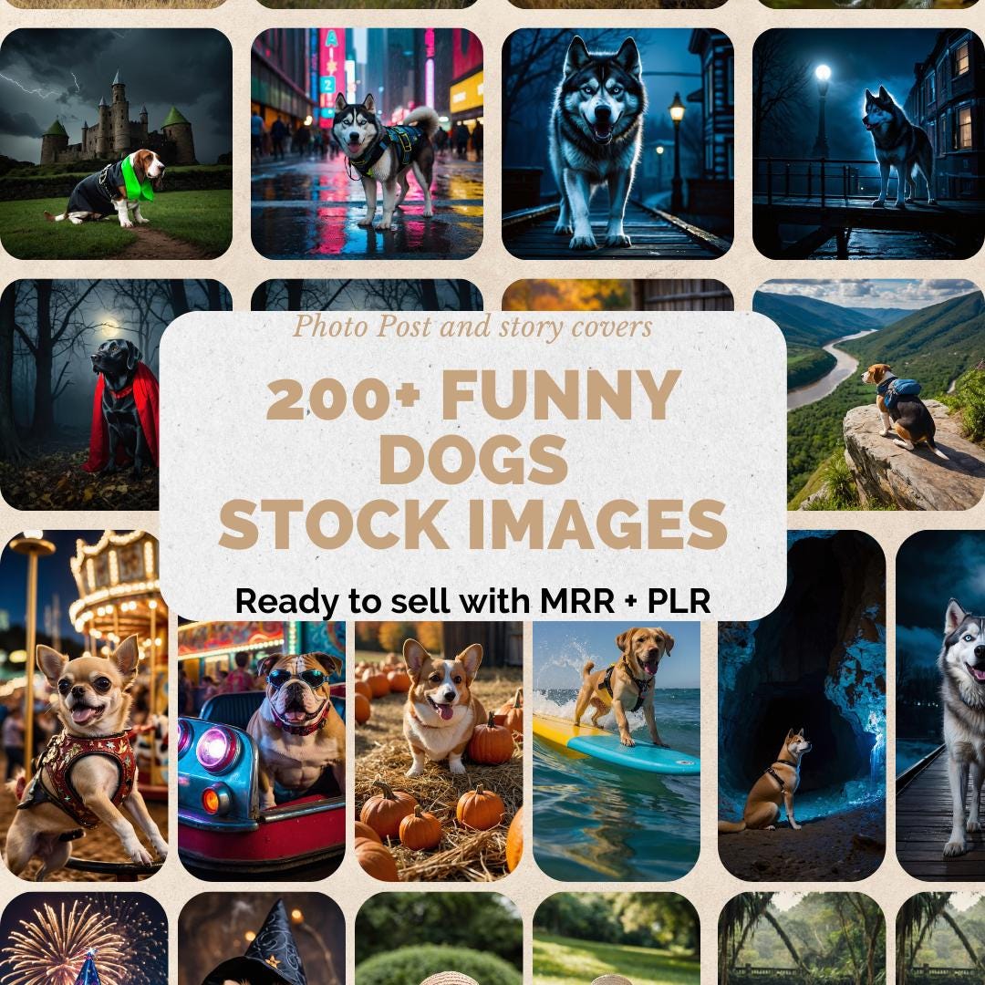200+ Photo Story covers and photo post of Funny Dogs, MRR PLR Stock, Funny Dogs Photo, Digital Marketing, Master Resell Rights, Stock Photo
