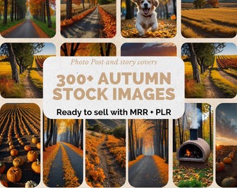 300+ Photo Story covers and photo post of Autumn, MRR PLR Stock, , Autumn Photo, Digital Marketing, Master Resell Rights, Stock Photo