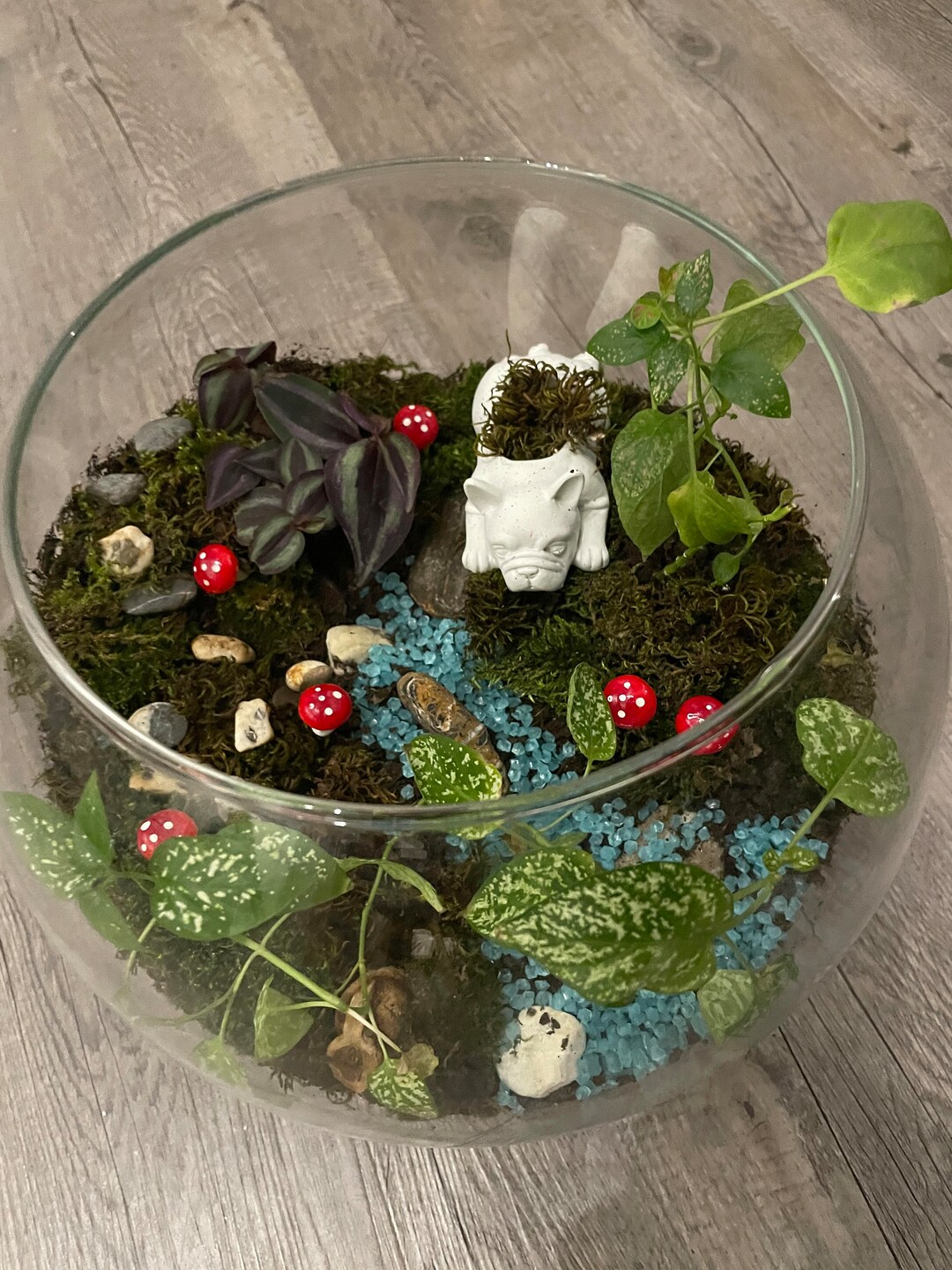 Custom Made Terrarium Etsy UK