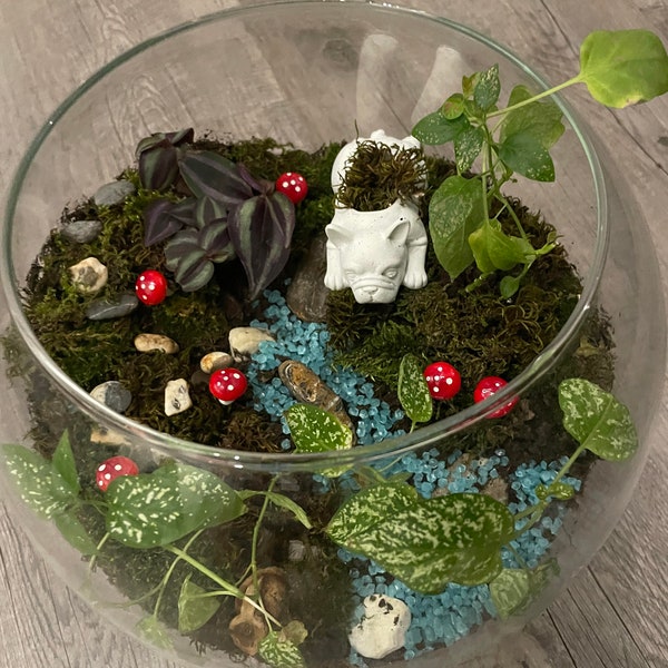 Terrarium fait sur mesure