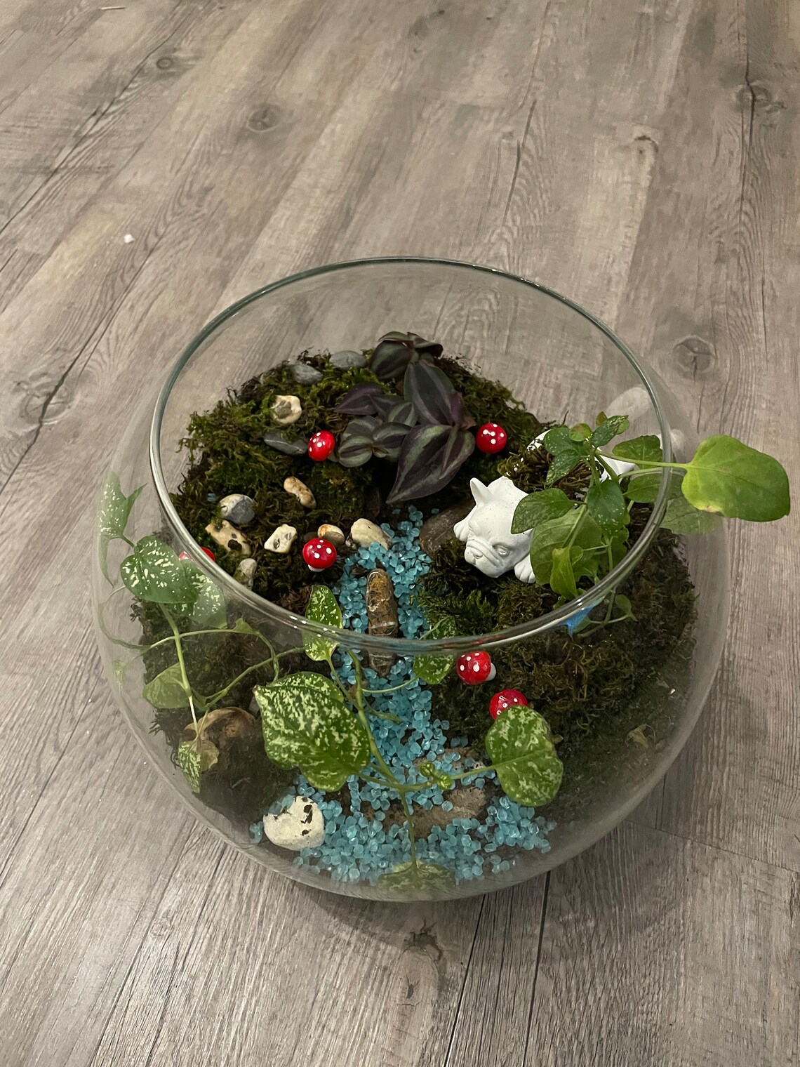 Custom Made Terrarium Etsy UK