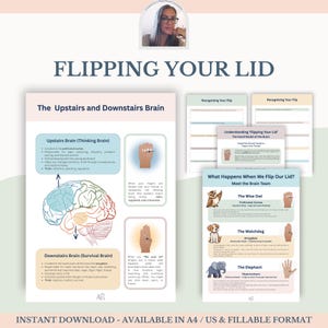 Flipping Your Lid Brain Based Emotional Awareness Counselling Resource, Emotional Regulation, Stress Management, Psychoeducation