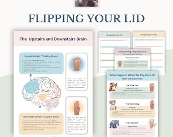 Flipping Your Lid Brain Based Emotional Awareness Counselling Resource, Emotional Regulation, Stress Management, Psychoeducation