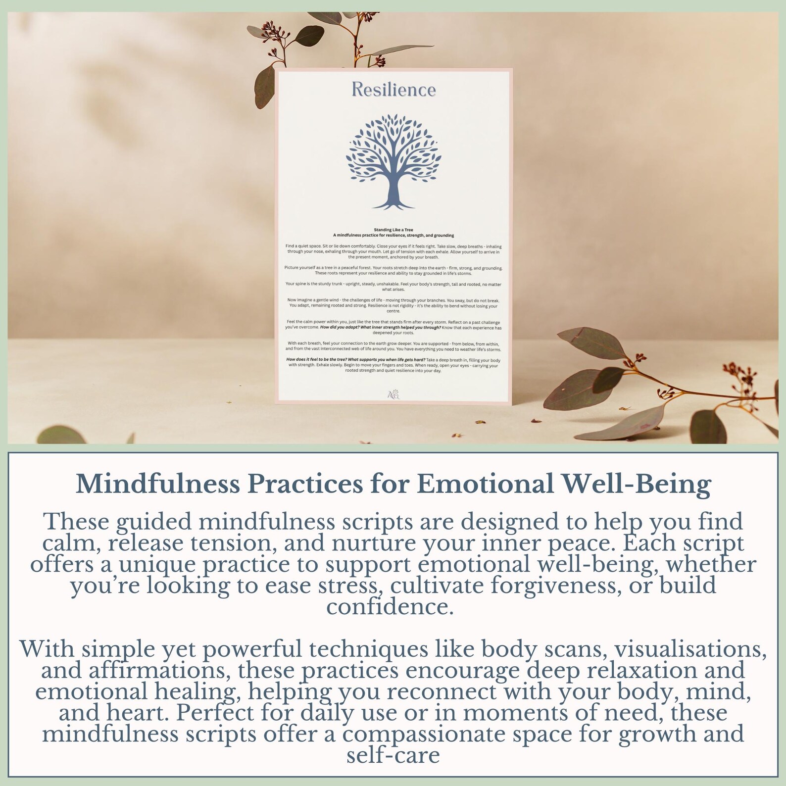 Mindful Meditation Visualisation Scripts, Guided Relaxation Emotional ...
