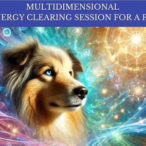 May include: Digital art of a dog with blue eyes, set against a cosmic background of swirling colors and celestial patterns. The image includes the text "MULTIDIMENSIONAL ENERGY CLEARING SESSION FOR A PET" in a blue banner at the top.