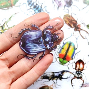 Puede incluir: Una pegatina transparente con una ilustración detallada en acuarela de un escarabajo azul con patas espinosas y una cáscara texturizada.