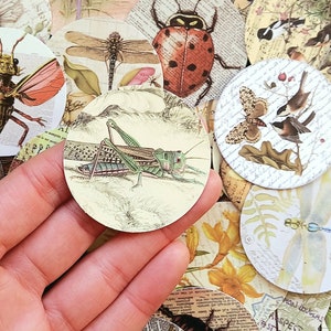 20 pegatinas de animales salvajes e insectos. Pack de pegatinas redondas con diseño de naturaleza, criaturas y flores en estilo vintage. 4 cm. Juego de pegatinas para planificador de jardín.