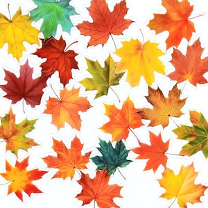 20 pegatinas de hojas de otoño. Pack de pegatinas de hojas de arce otoñales para diarios, scrapbooking, agendas, Kindle, decoración de portátiles y manualidades.