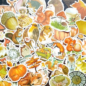 20 stickers automne cottagecore.  Pack d'autocollants orange pour scrapbooking sur le thème de l'automne avec des feuilles, des citrouilles, des animaux sauvages et des champignons