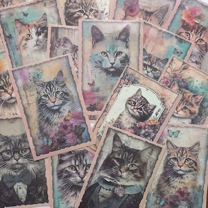 Paquete de 15 papeles vintage con motivos de gatos para scrapbooking, con motivos florales bohemios. 8,5 x 12,5 cm, para collages y planificadores de gatitos. Tienda del Reino Unido.