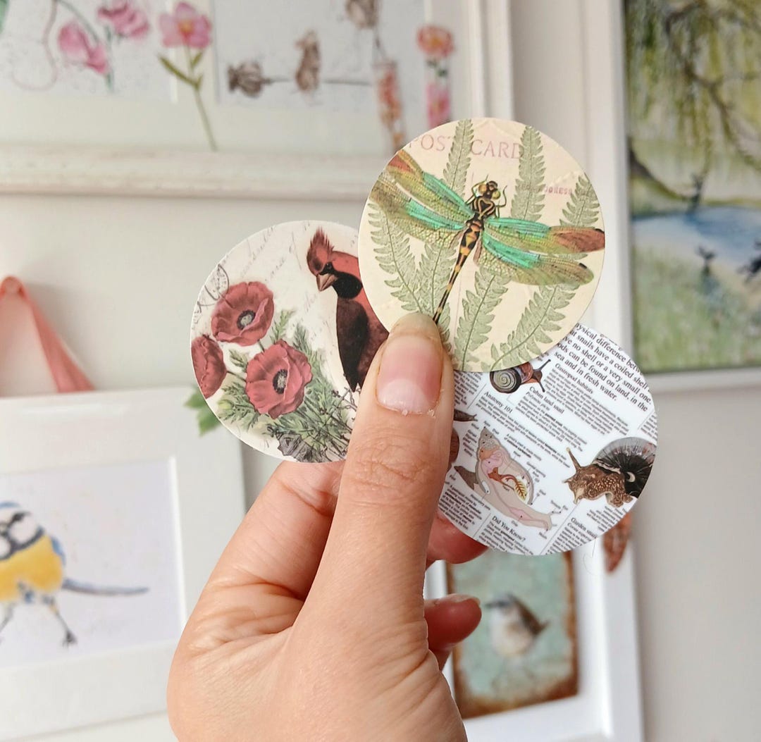 20 Insect Wildlife Stickers. 4cm Round Wildlife Scrapbooking, Kindle ...