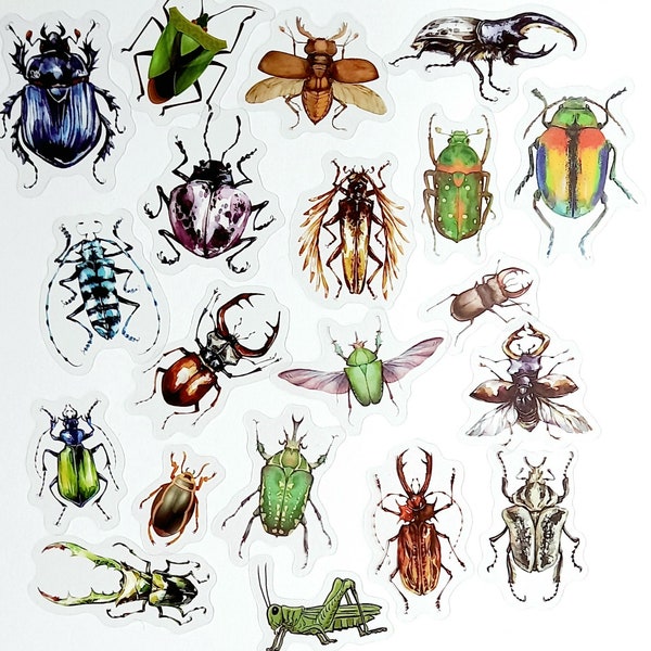 20 x insectenstickers. Doorzichtige bug kever mot sprinkhaan ambachtelijke sticker. Waterdicht dagboek met dierenstickers, planner-stickers. Schepen uit Groot-Brittannië.