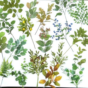 20 pegatinas grandes de hojas. Paquete de pegatinas de hojas de celofán transparentes con un toque mediterráneo, de 9 a 11 cm. Suministros para álbumes de recortes y planificadores.