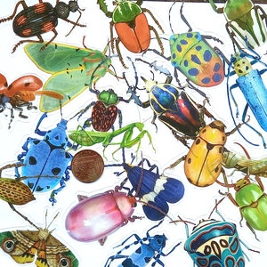 20 Giant Bug Stickers. Large insect wildlife sticker set, clear cello. Planner, journal, scrapbook, Wall, kindle, decoration, card making.