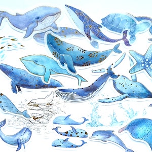 20 pegatinas de Amigos Ballenas. Set de pegatinas doradas y azules del océano con ballenas, peces, tortugas, delfines, estrellas de mar y mantarrayas. Pegatinas de papel washi.