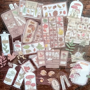 20 pegatinas de plantas. Botánica, plantas, estudio, hongos, naturaleza, pergaminos, paquete de pegatinas botánicas para diarios, bujos, agendas y álbumes de recortes.