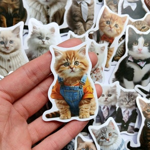 20 pegatinas de gatos adorables. Paquete de pegatinas decorativas para manualidades con gatitos con atuendos peculiares. Regalo para dueños de mascotas, amantes de los animales y aficionados a las manualidades. Calcomanía de bebé peludo.
