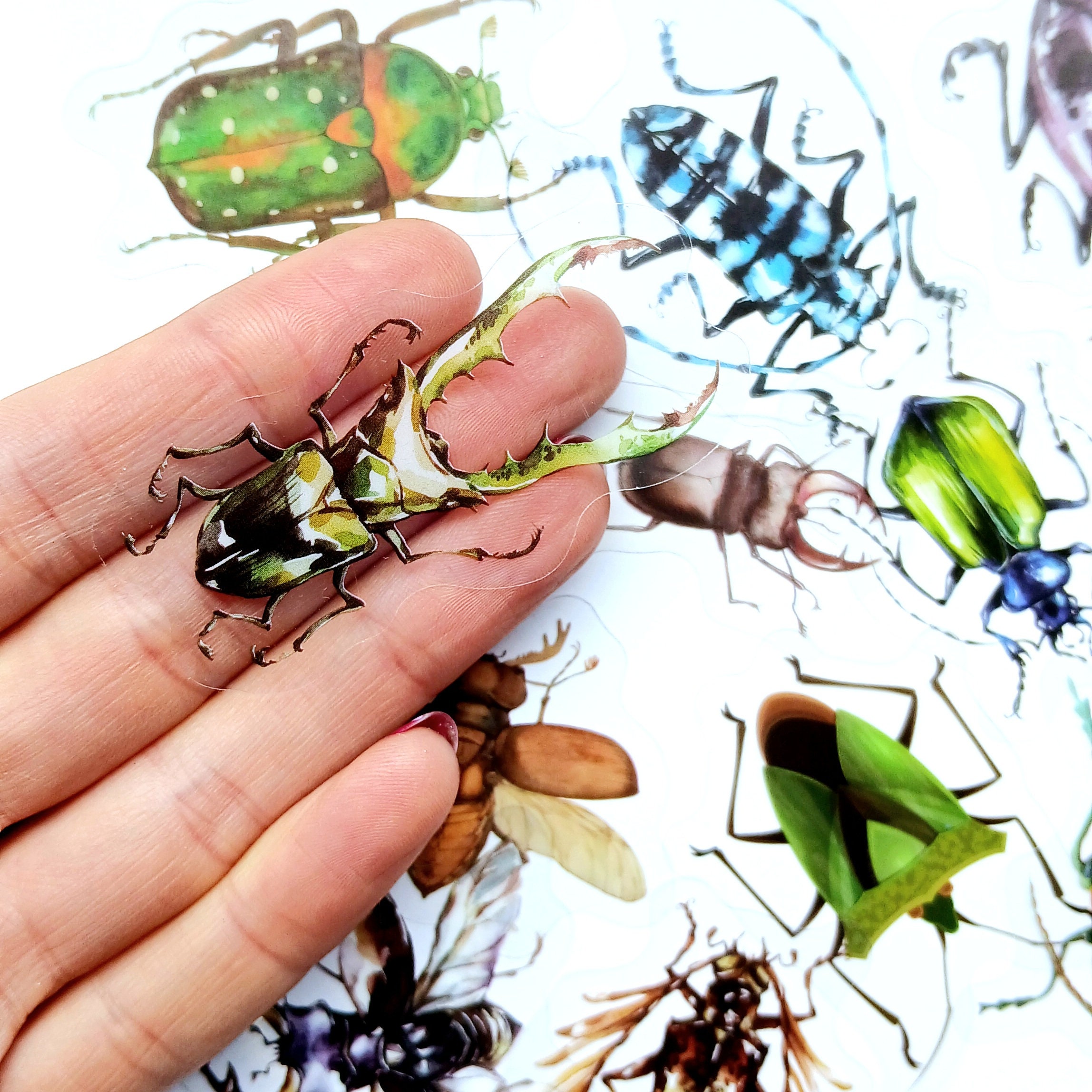 Autocollant Anti Moustique 500Pcs Insect Rolls - 10 Design Realistic ...