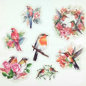 15 stickers oiseaux. Oiseaux tropicaux rouges et oiseaux britanniques pour le bricolage, le scrapbooking, les agendas et la tenue d'un journal. Cadeau astucieux pour ornithologues amateurs Twitchers.