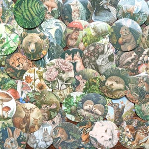 20 pegatinas de animales salvajes del bosque. Animales del bosque, plantas para manualidades, decoración de Kindle, álbumes de recortes, etc. Paquete de osos, ciervos, erizos, niebla y hongos