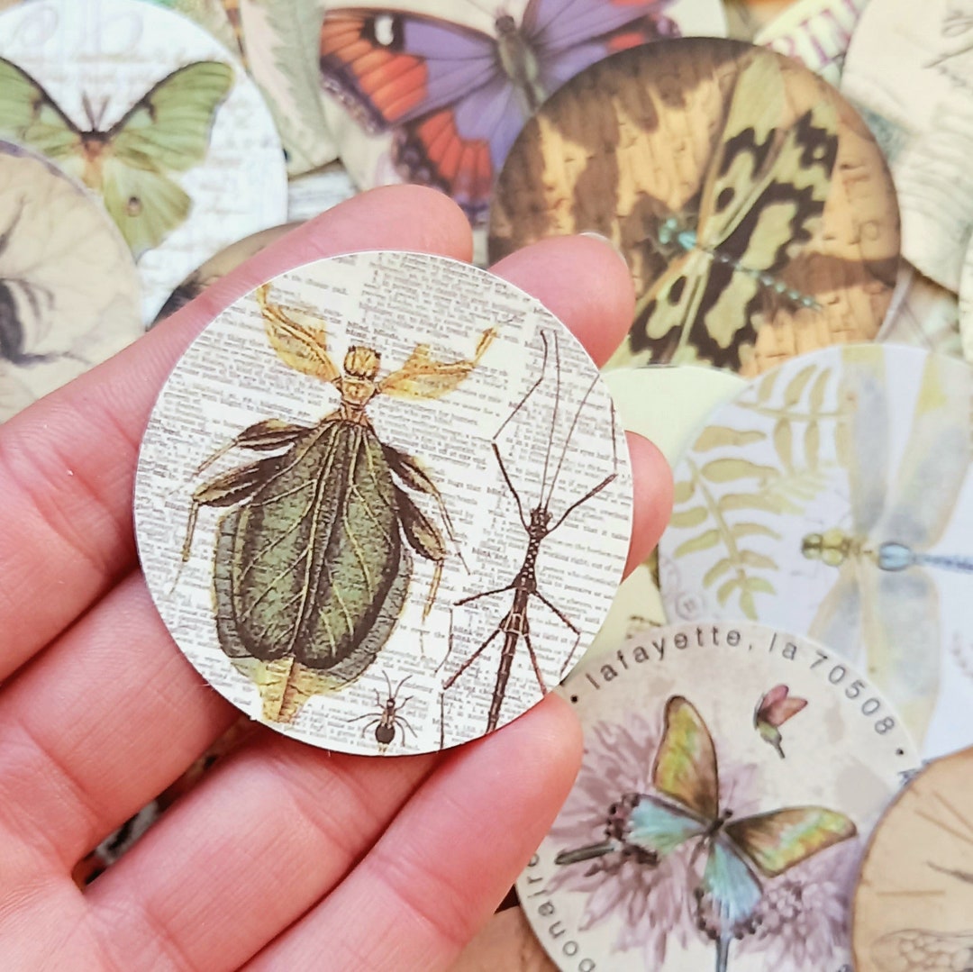 20 Vintage Insectstickers. 4cm Round Wildlife Scrapbooking, Kindle ...