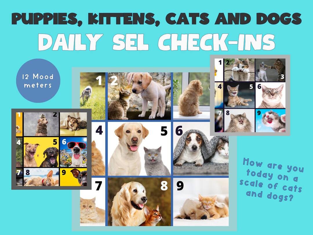 Mood Meter SEL Check-ins: Cats and Dogs Social Emotional - Etsy