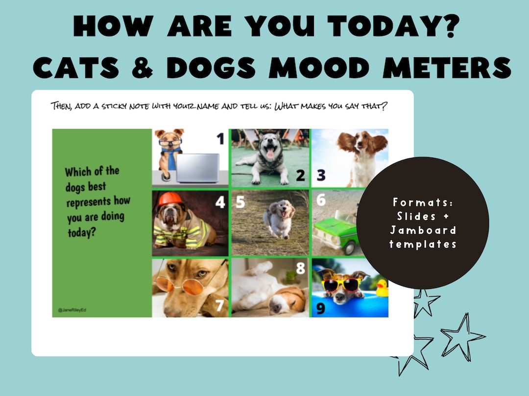 Mood Meter SEL Check-ins: Cats and Dogs Social Emotional Learning ...