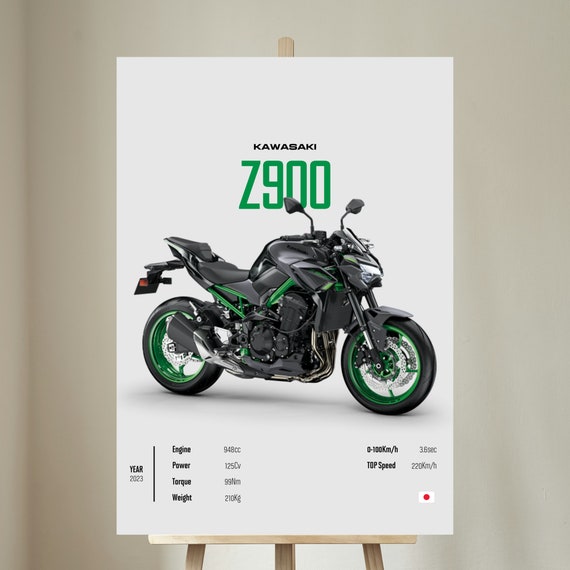 KAWASAKI Z 900 [green] 2021 - Motorcycle Japanese Poster