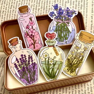 Paquete de pegatinas de poción de flores / Paquete de pegatinas de plantas de 5 piezas / Pegatina Witchcore / Pegatina de diario basura / Pegatina del planificador / Pegatina de boticario