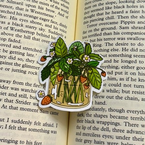Erdbeeren Aufkleber | Obst Sticker | Journal Aufkleber, Scrapbook Aufkleber, Blume Aufkleber, Witchy, Laptop Aufkleber, Pflanze Aufkleber