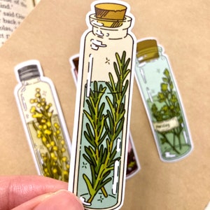 Sticker fles rozemarijn | Botanische sticker | Heksensticker | Cottagecore-sticker | Stickers junkjournal, plakboeksticker, keukenkruid