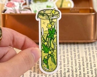 Bryonia Dioica Bottle Sticker: Cottagecore Floral Decal