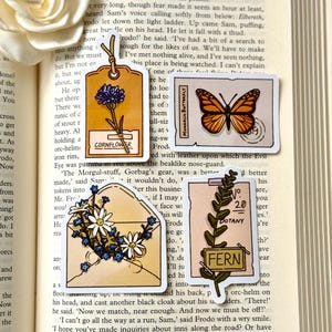 Könnte beinhalten: Ein Set aus fünf illustrierten Aufklebern mit einer Kornblume, einem Monarchfalter, einem Farn, einer botanischen Illustration eines Farns und einem Vintage-Umschlag mit Wildblumen. Die Aufkleber sind auf weißem Papier mit einem hellbraunen Rand gedruckt.