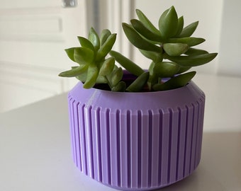 Personalisierter bedruckter Pflanzentopf für den Innenbereich – Blumentopf – Sukkulenten – Kaktustopf – Blumentopf – 3D-gedruckt