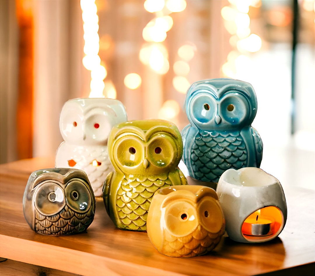 Ceramic Little Owl Incense Essential Oil Burner Set, Animal Home Decor ...