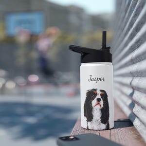 Custom Pet Water Bottle Custom Travel Mug Dog Water Bottle Sport Water Bottle Gym Workout Gear, Leakproof Hiking Canteen,Pet Bottle Gift