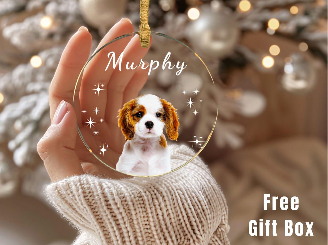 Personalized Pet Memorial Ornament | Custom Acrylic Dog Cat Photo ...