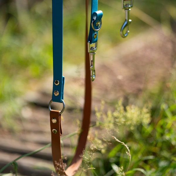 ROSIE | 3-fach verstellbare Biothane Leine für Hunde | 19 mm | handsfree leash | Hundeleine verschiedene Längen | Wunschfarbe | vegan