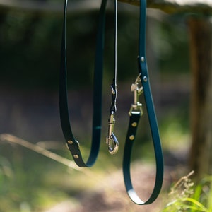 Puede incluir: Dos correas de cuero verde oscuro para perros con cierres plateados colgando de una valla de madera.