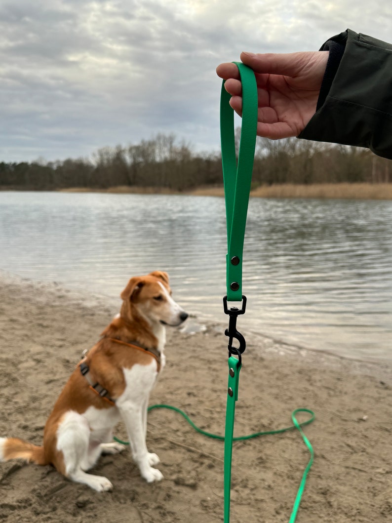 Schleppleine aus Biothane mit Adapter Kurzführer Suchleine für Hunde 16mm 5 Meter 7 Meter 10 Meter Wunschfarbe vegan Bild 4