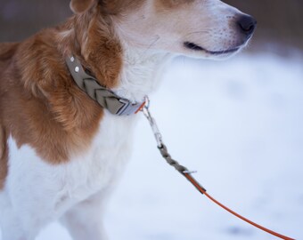 MEICKY | zweifarbiges Halsband aus Biothane mit Klick-Verschluss für Hunde | geflochten | Wunschfarbe | individualisierbar | vegan