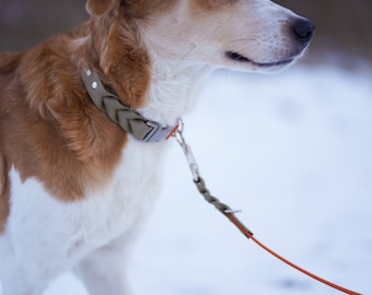 MEICKY | Two-tone Biothane dog collar with click closure | Braided | Custom color | Personalized | Vegan