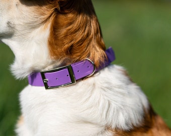 LUA | verstellbares Biothane Halsband mit Schnalle für Hunde | Wunschfarbe | individualisierbar | vegan