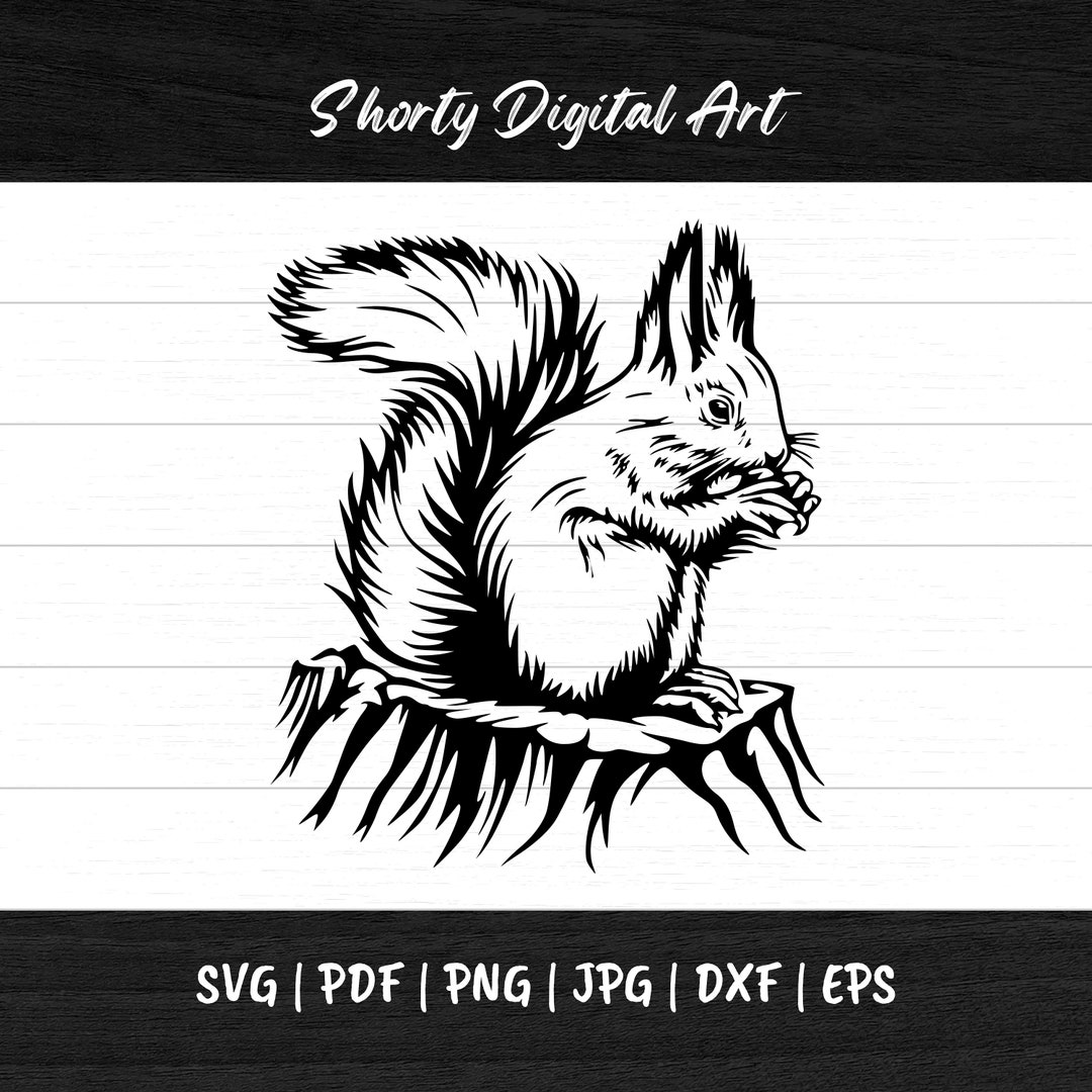 Squirrel SVG File Animal SVG Silhouette Vector Svg Pdf Png - Etsy