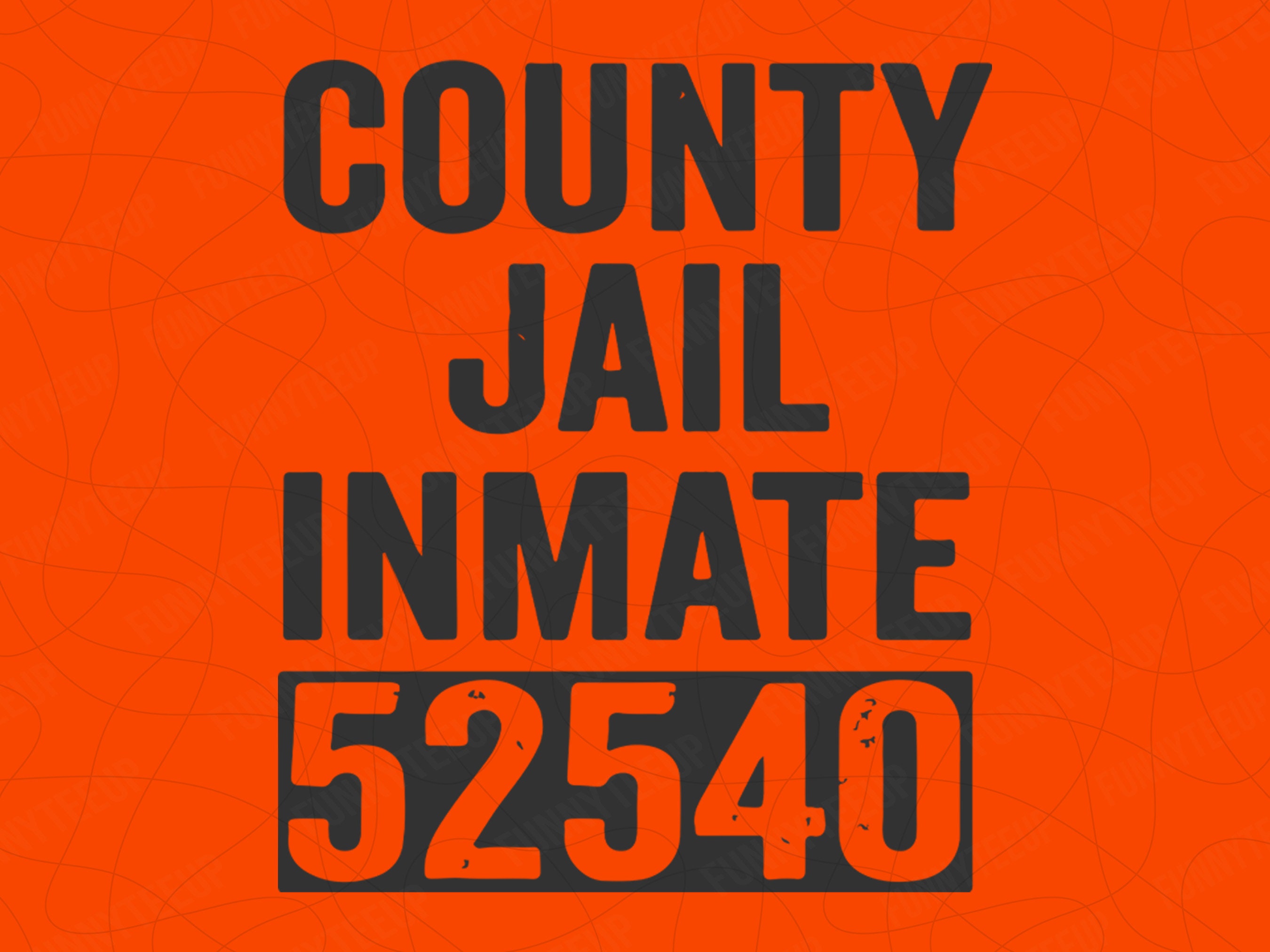 Ircso Jail Roster: Instant Access To Inmate Information - kjrtsup